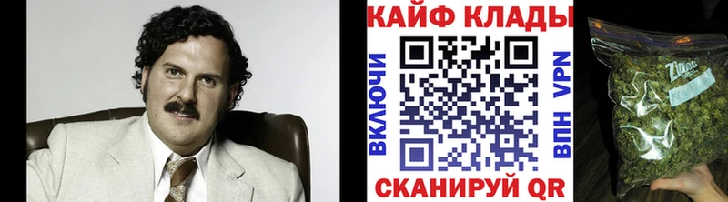 Виды наркотиков купить Курск LSD-25  Бошки Шишки  Меф  Галлюциногенные грибы  ГАШ  Alpha PVP 