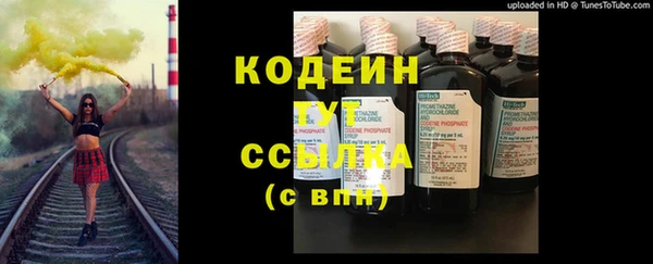 крисы Мегион