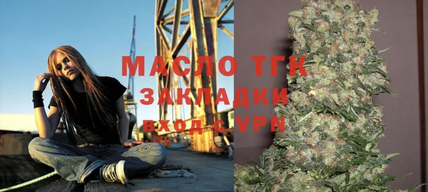 крисы Мегион