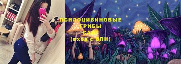 МДПВ Михайловка