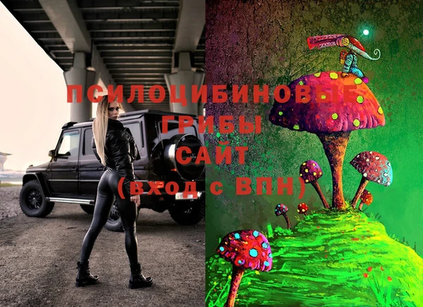 крисы Мегион