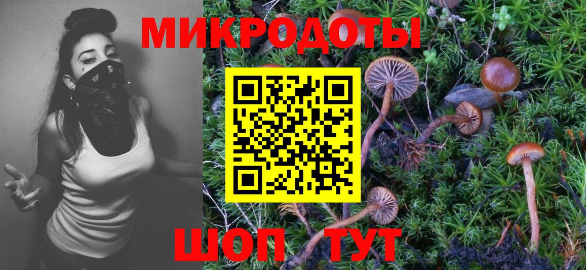 Галлюциногенные грибы Cubensis  Галлюциногенные грибы Psilocybine cubensis  Вход с VPN  что такое наркотик  Курск 